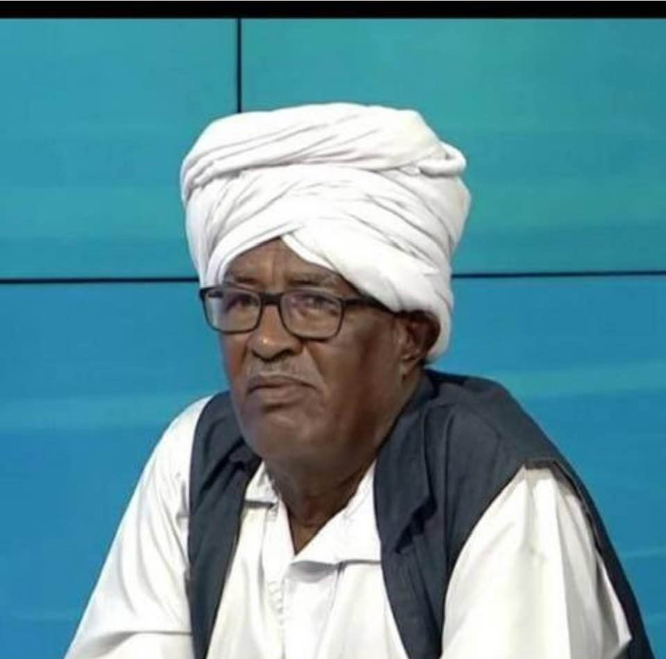 محطات في عوالم أبو آمنة حامد