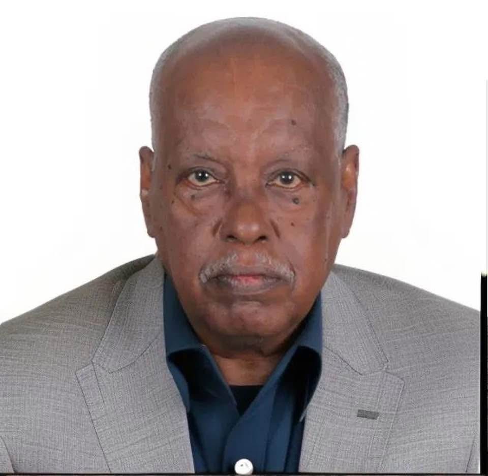 صقور الجديان والفرصة الذهبية.. بين تاريخ السودان وطموح مدغشقر