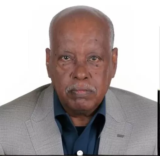 المغتربون السودانيون... السند وقت الشدة