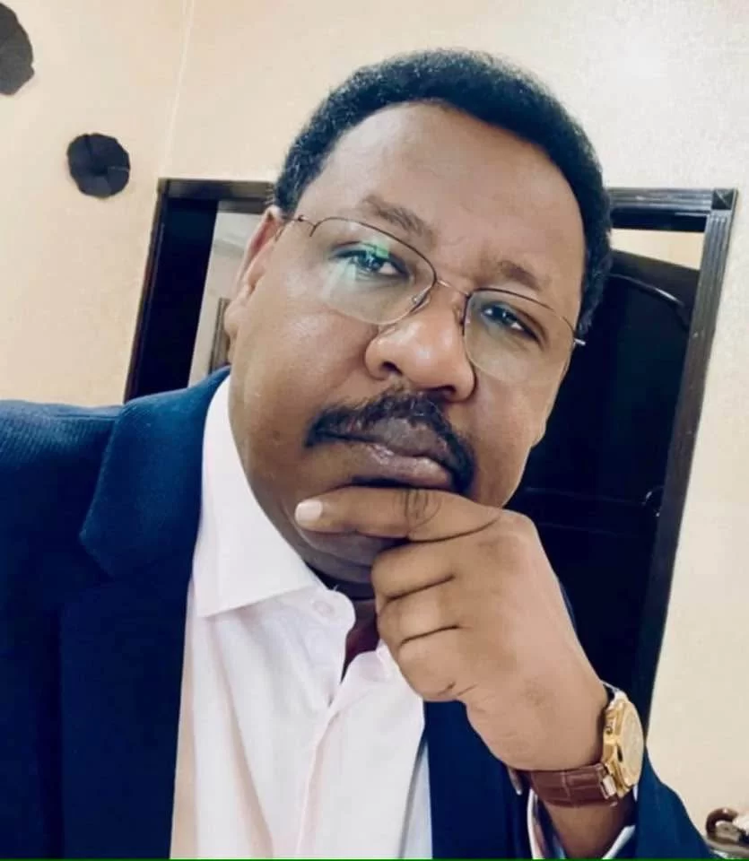 السوداني في عيون شنقيطي