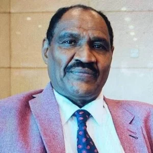 حسن أحمد حسن